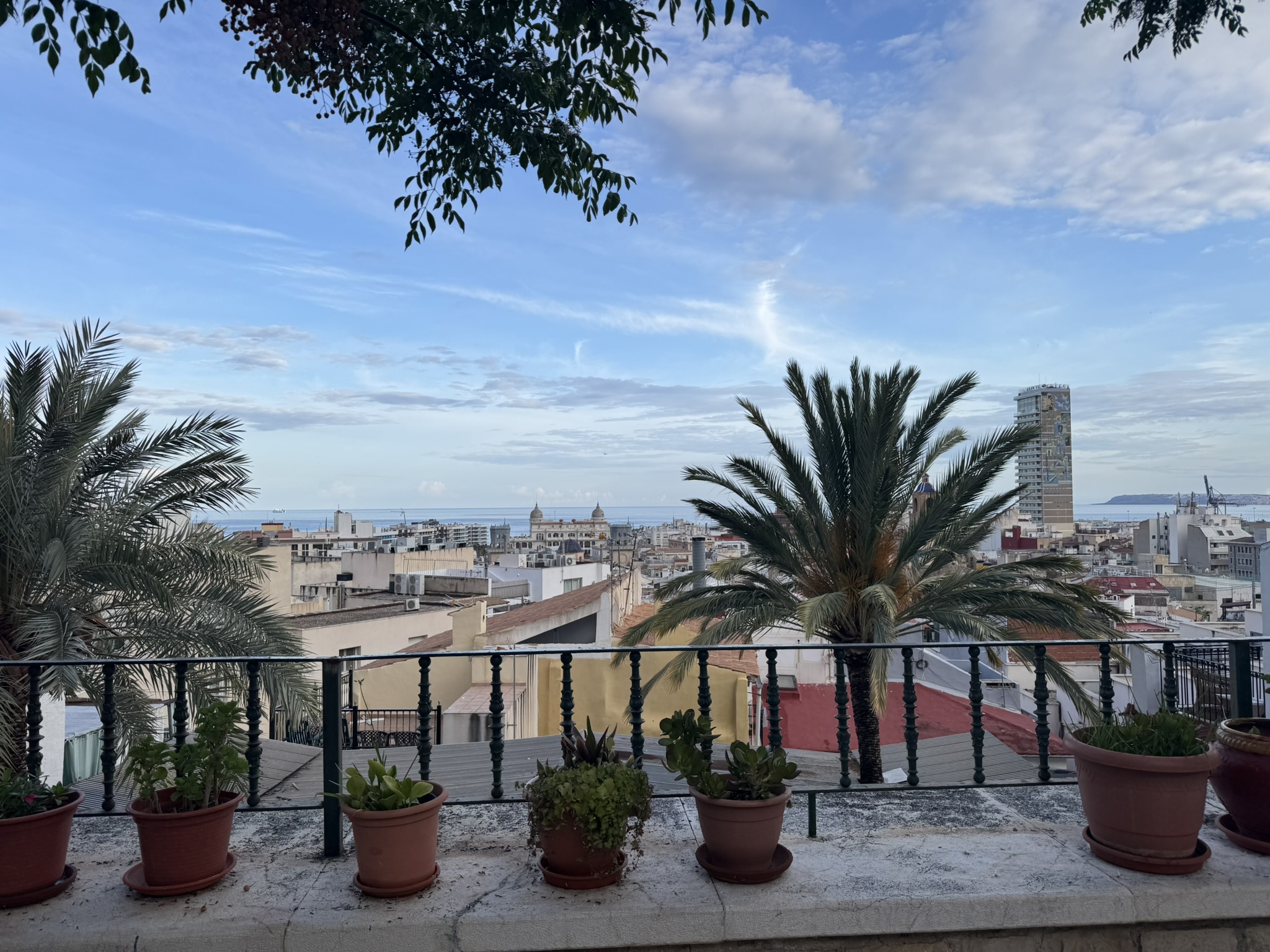 specialty coffee alicante