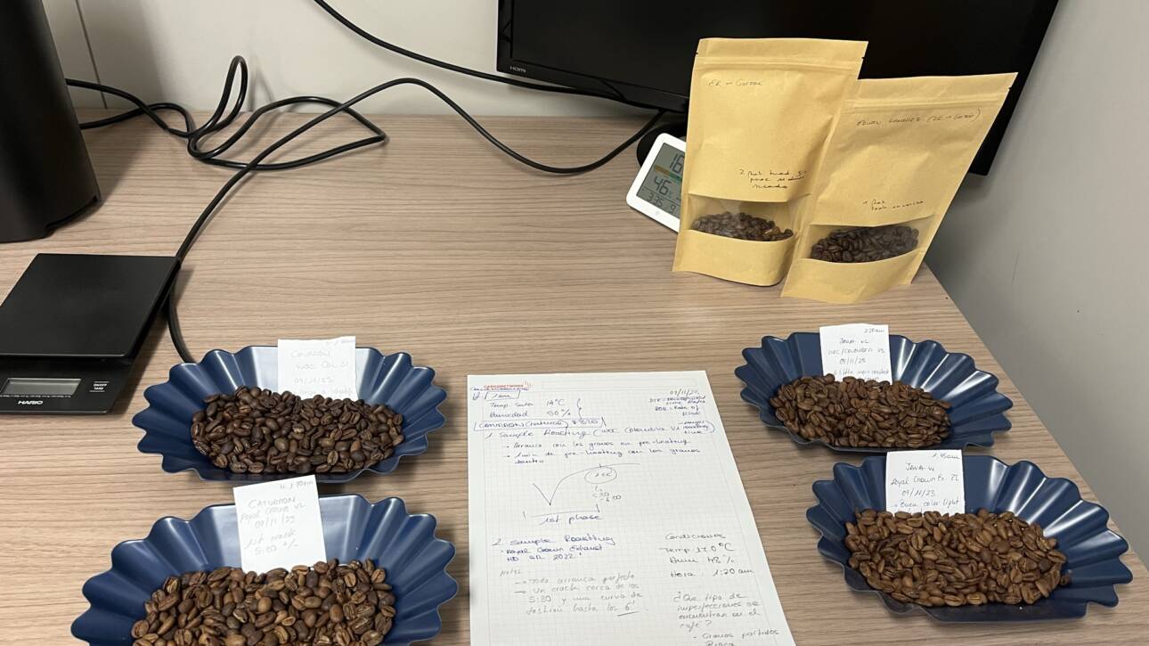 talleres de café de especialidad en Alicante